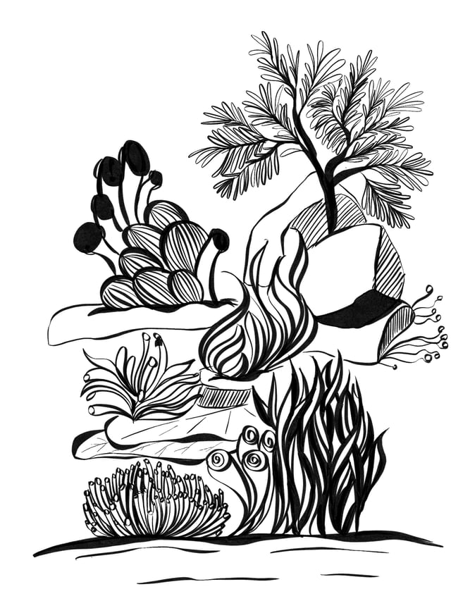 Black-and-white underwater scene with coral, sea plants, fish, and a shell.