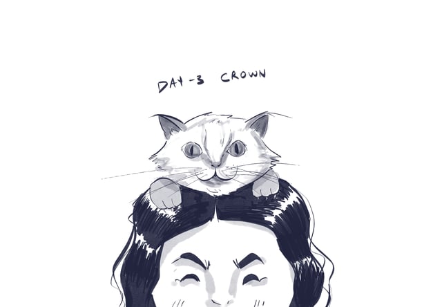 Fluffy cat perched on a person's head, labeled Day 3 Crown.