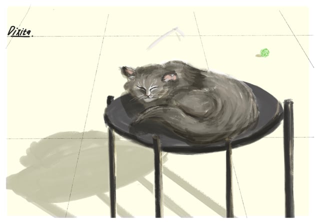 Gray cat curled up asleep on a dark stool in a sunlit room.