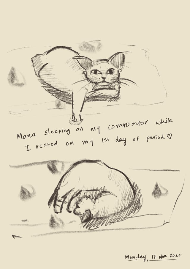 Two observational sketches of a fluffy cat lying down with handwritten journal notes.