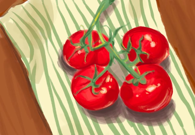 Red tomatoes on a green vine casting striped shadows across a pale surface.